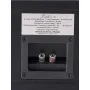 Центральный канал Davis Acoustics Balthus 10 Black Ash